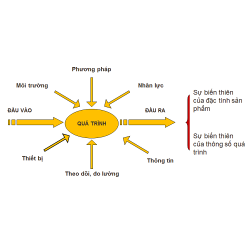 Quản lý quá trình